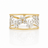 ANILLO ÚNICO IRREGULAR