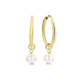 BOUCLES D'OREILLES | OR