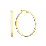 BOUCLES D'OREILLES | OR