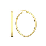 BOUCLES D'OREILLES | OR