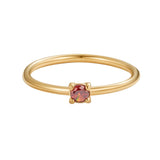 ANILLOS PIEDRA DE NACIMIENTO | ORO